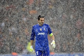 青少年“星耀杯”全国青少年篮球比赛吸引广泛关注，星火杯青少年篮球精英赛