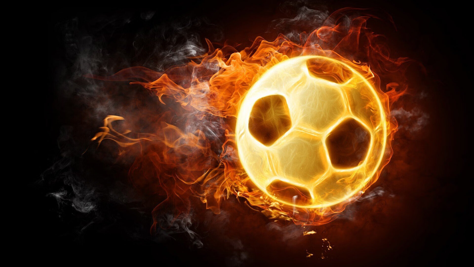 _春季花海：在花园中举行的浪漫赛事_，花海集锦