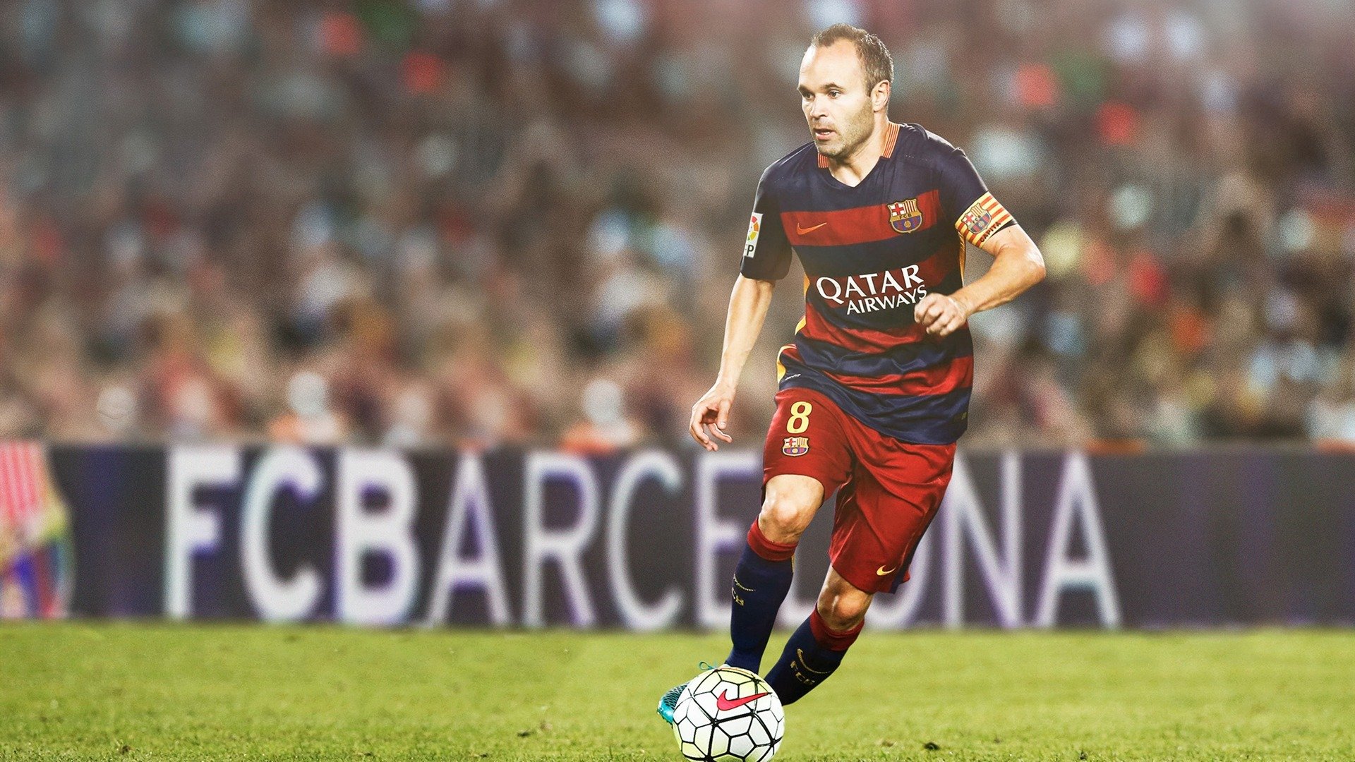 “尼克斯球迷狂欢,主场迎来关键胜利”,尼克斯大牌球迷